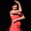 Flamenco Bremen